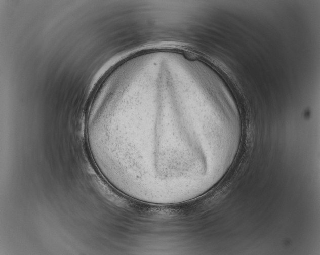 X0000116101420200912140946