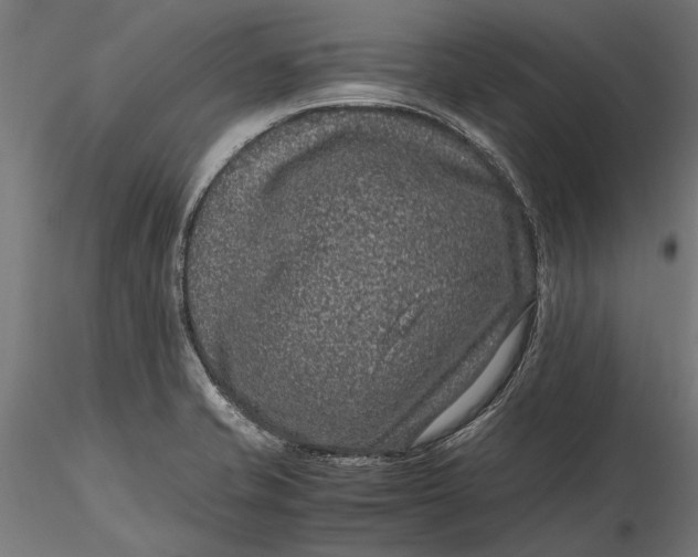 X0000116101421200912140946