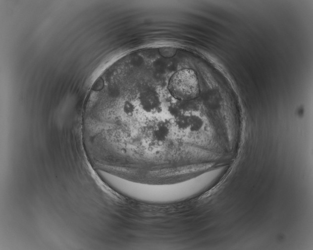 X0000116101425200912140946