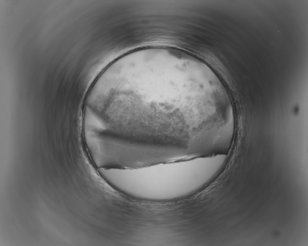 X0000116101428200912140947