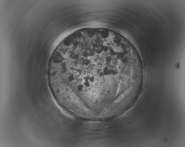 X0000116101429200912140947