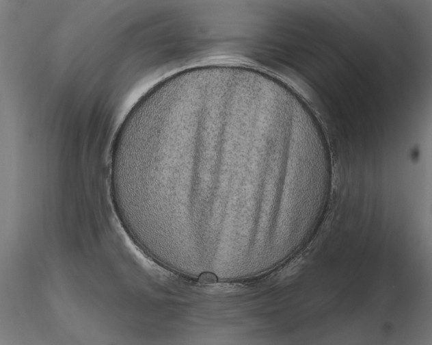 X0000116101430200912140947