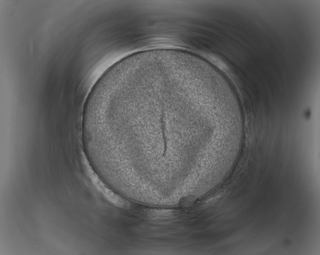 X0000116101431200912140947