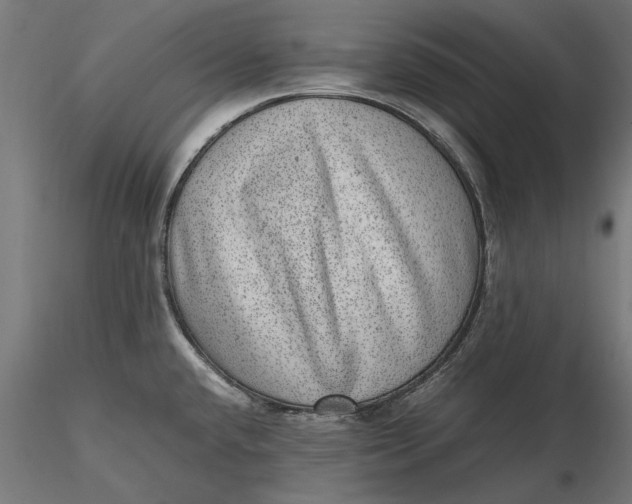 X0000116101432200912140947