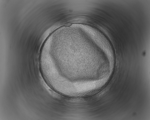 X0000116101434200912140947