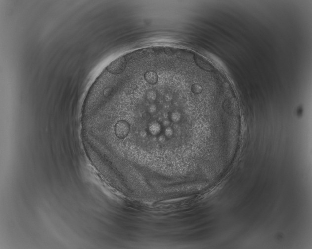 X0000116101435200912140947