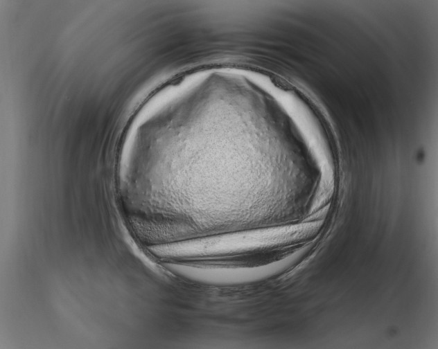 X0000116101437200912140947