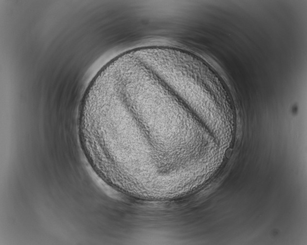 X0000116101438200912140947