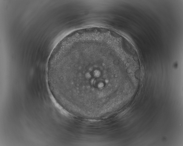 X0000116101439200912140947