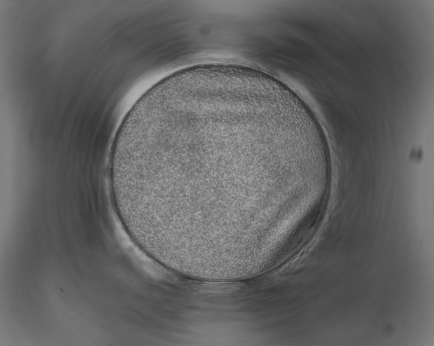 X0000116101440200912140947