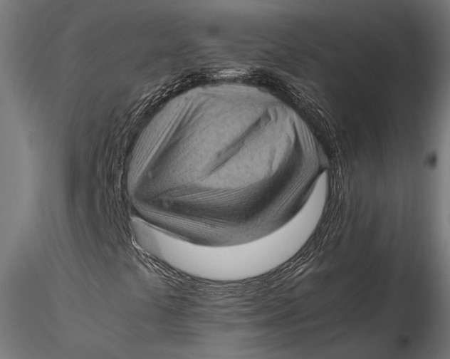 X0000116101441200912140946