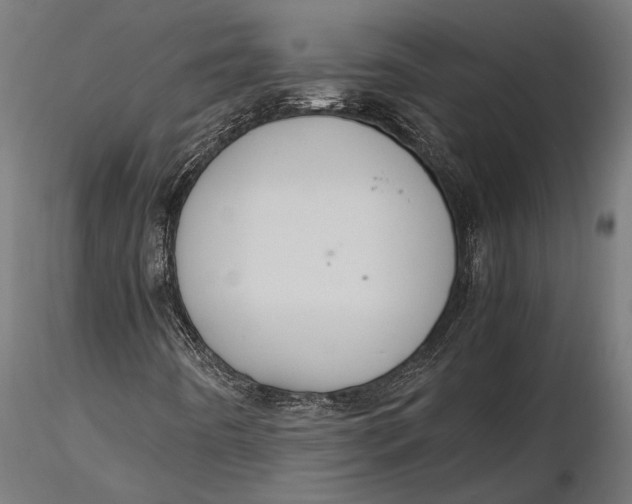 X0000116101442200912140946