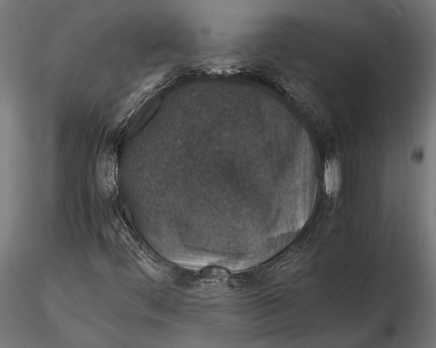 X0000116101444200912140946