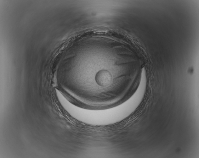 X0000116101445200912140946