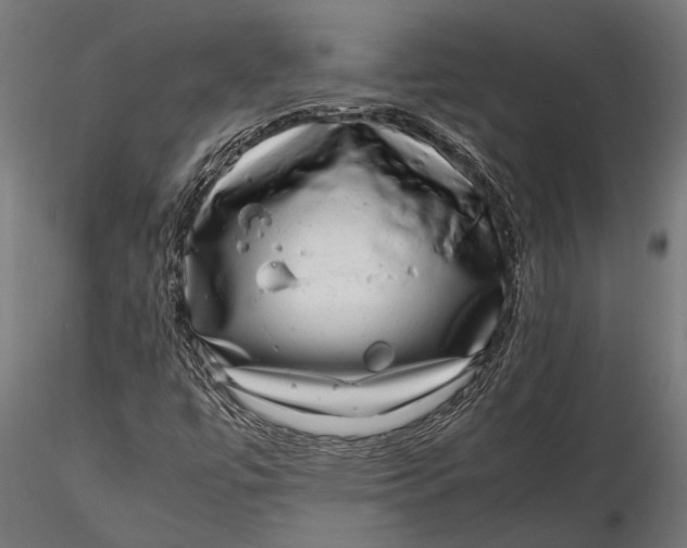 X0000116101447200912140946