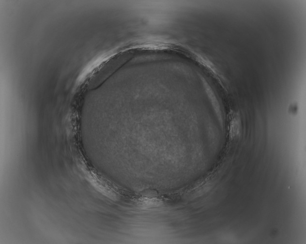 X0000116101448200912140946