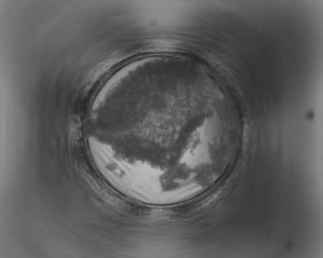 X0000116101449200912140946