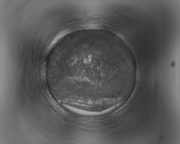 X0000116101450200912140946