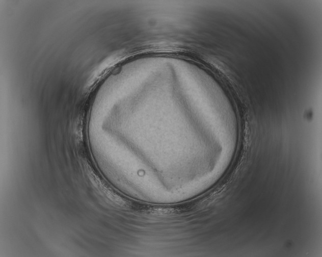 X0000116101451200912140946