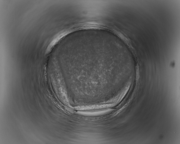 X0000116101453200912140946