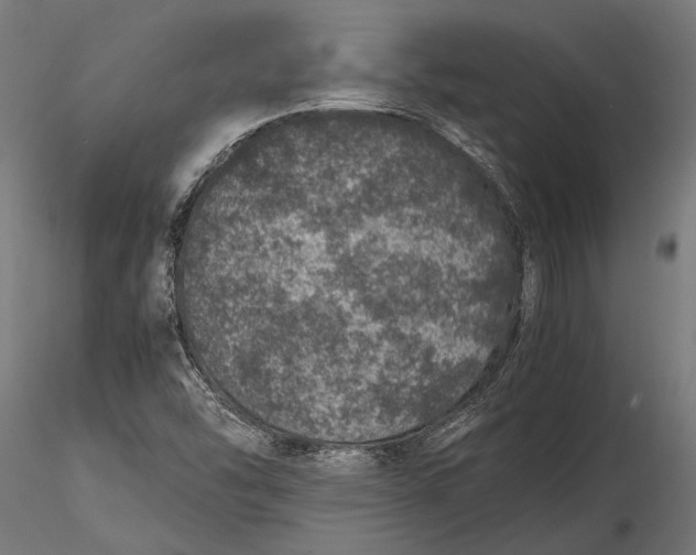 X0000116101454200912140946