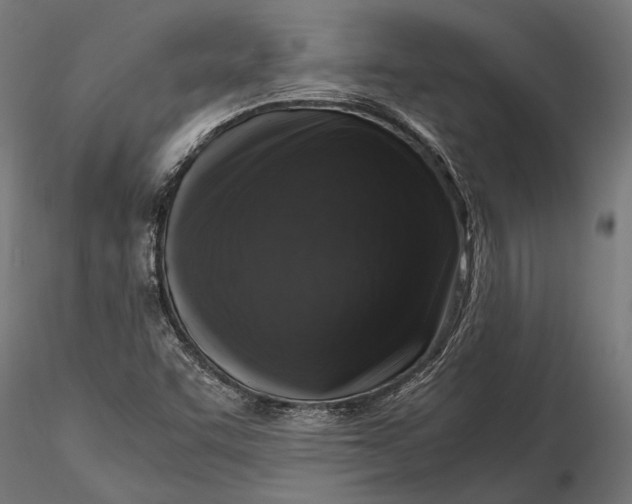 X0000116101455200912140946