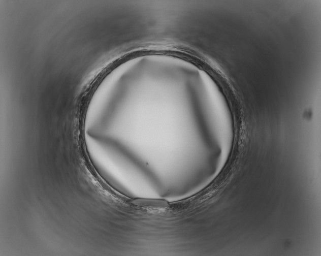 X0000116101456200912140946