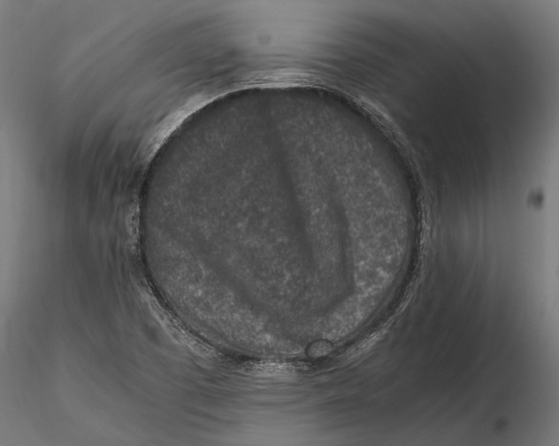 X0000116101457200912140946