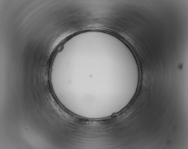 X0000116101458200912140946