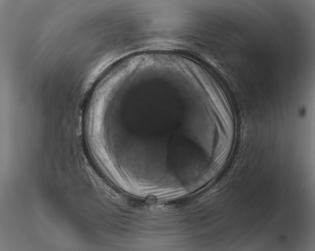 X0000116101459200912140946