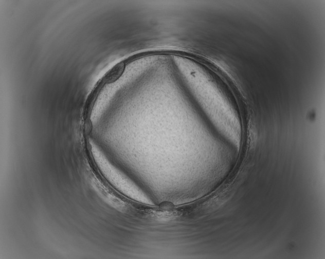 X0000116101460200912140946