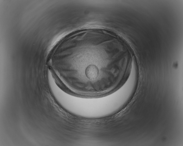 X0000116101461200912140946