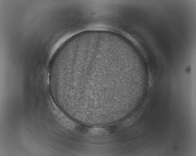 X0000116101462200912140946