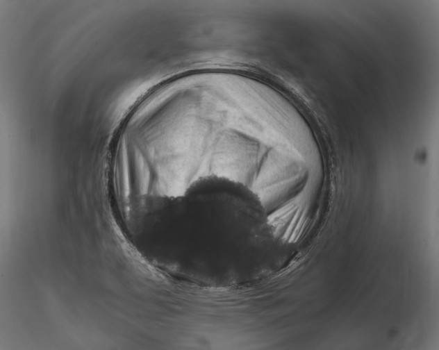 X0000116101463200912140946