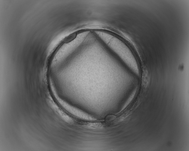 X0000116101464200912140946