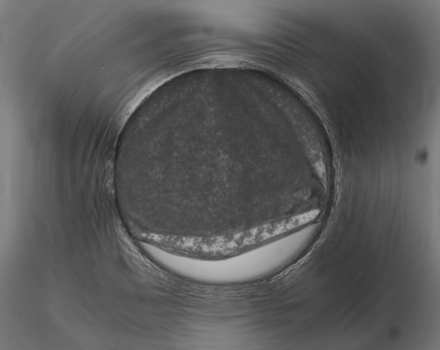 X0000116101465200912140946