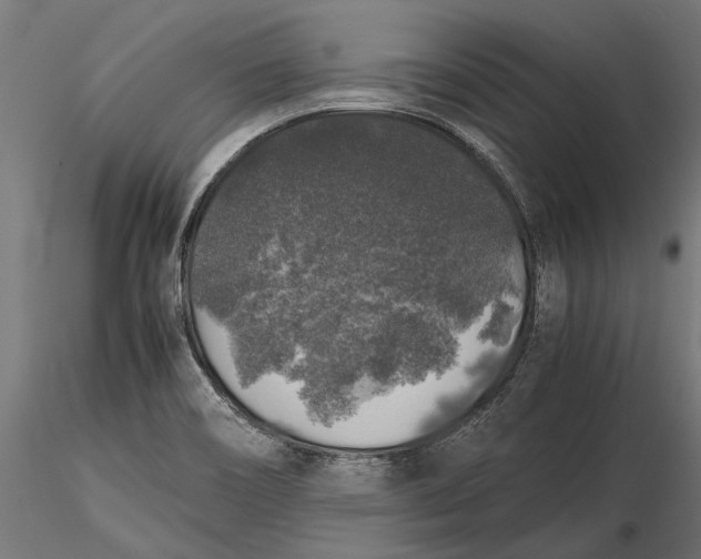 X0000116101466200912140946