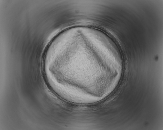 X0000116101467200912140946