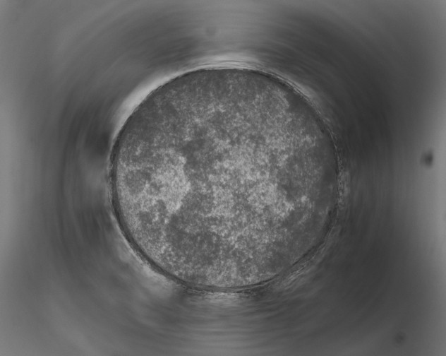 X0000116101470200912140945