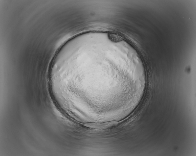 X0000116101471200912140945