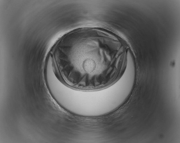 X0000116101472200912140945