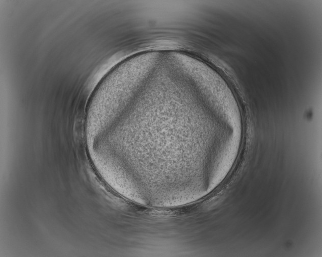 X0000116101473200912140945