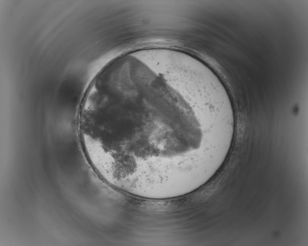 X0000116101474200912140945