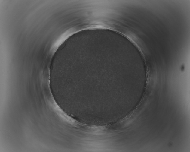 X0000116101476200912140945