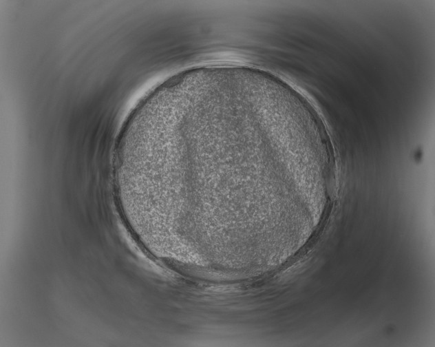 X0000116101477200912140945