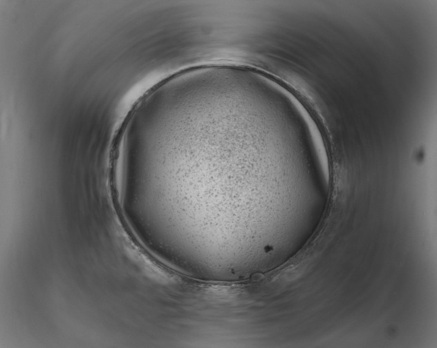 X0000116101480200912140945