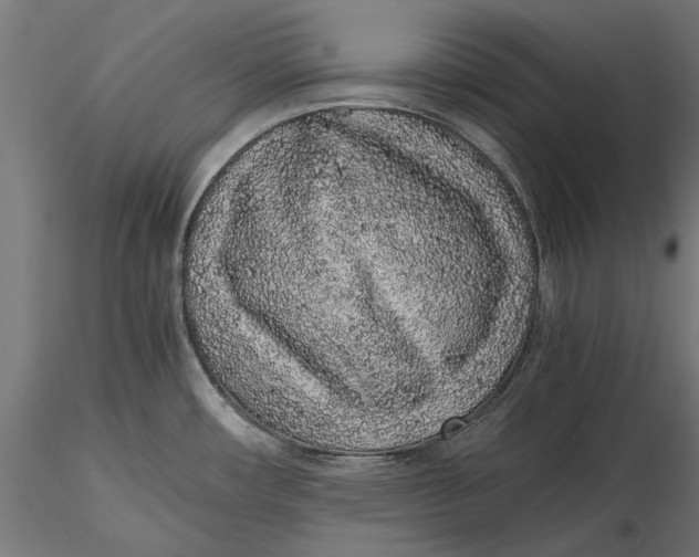 X0000116101482200912140945