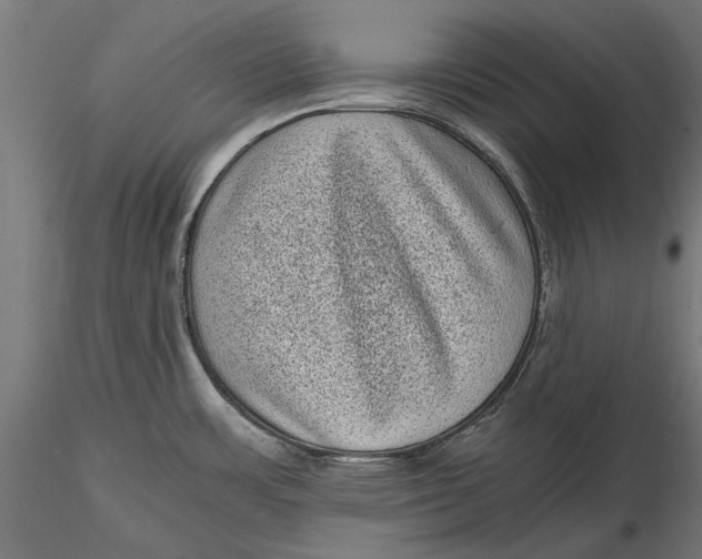 X0000116101483200912140945