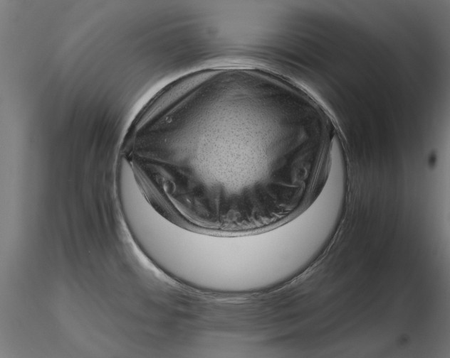 X0000116101484200912140945