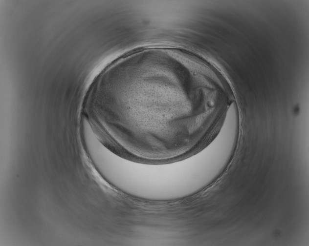 X0000116101485200912140945